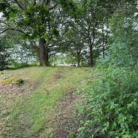 Feriehus 6 Person In Hovborg-by Traum Hovborg