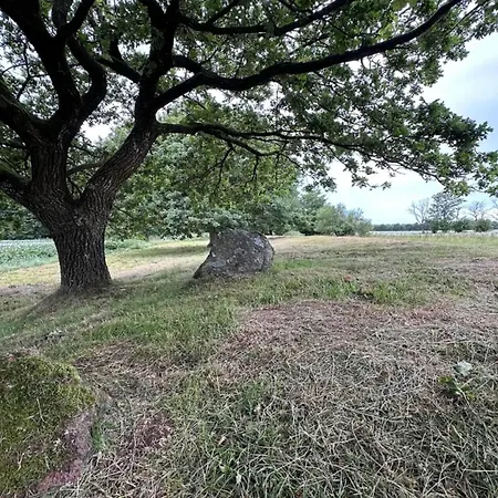 6 Person In Hovborg-by Traum Feriehus Hovborg