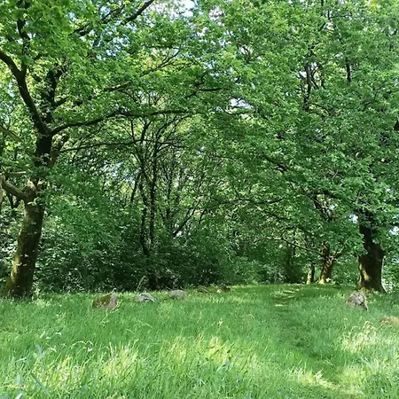 6 Person In Hovborg-by Traum * Hovborg