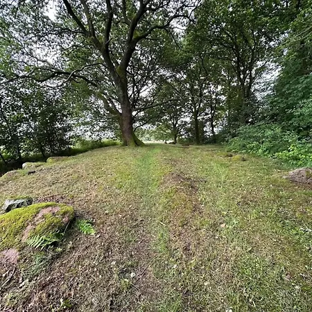 6 Person In Hovborg-by Traum